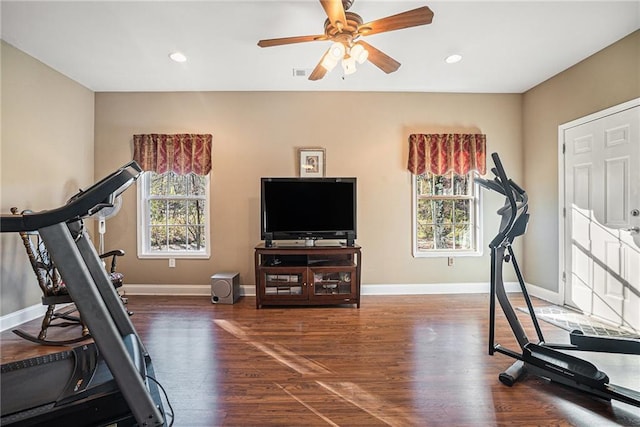 workout room featuring baseboards, a healthy amount of sunlight, and wood finished floors