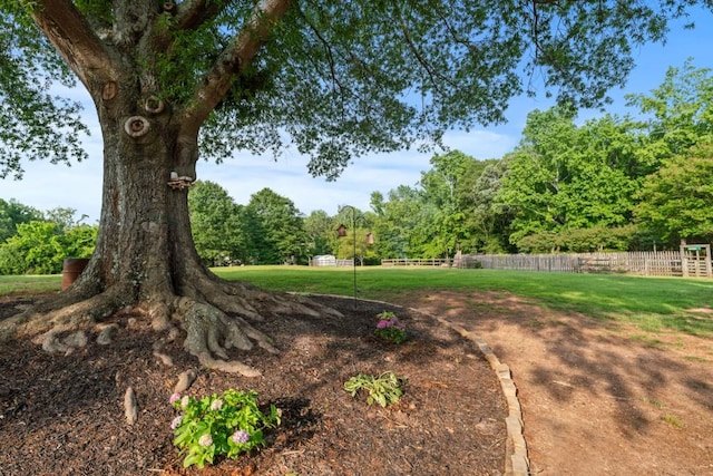 300 Olde Wick Trl, Hoschton, GA 30548 - view of yard