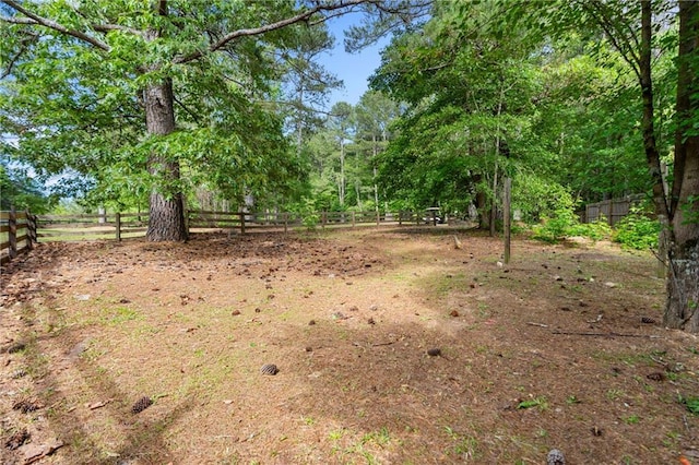 75 Auburn Rd, Auburn, GA 30011 - view of yard