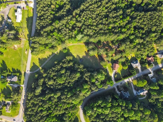 75 Auburn Rd, Auburn, GA 30011 - aerial view