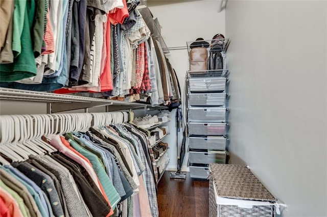 spacious closet featuring dark hardwood / wood-style flooring