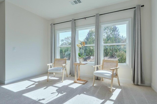 interior space featuring a wealth of natural light