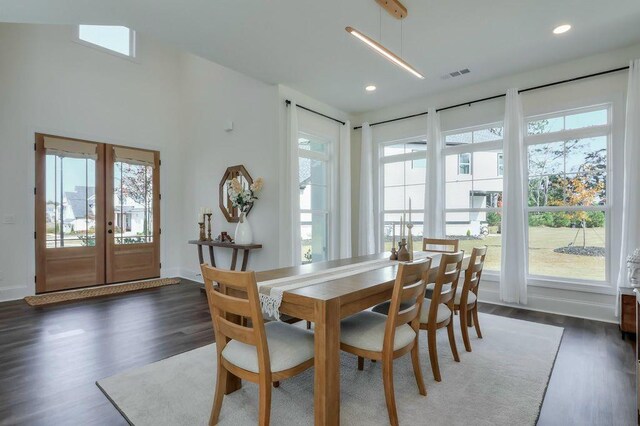 dining space with french doors, a wealth of natural light, and dark hardwood / wood-style floors