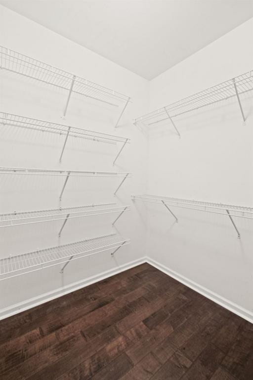 walk in closet featuring wood-type flooring