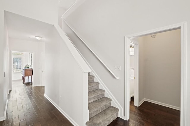 stairs with hardwood / wood-style floors