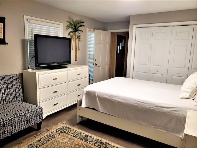 bedroom featuring a closet and dark wood-type flooring