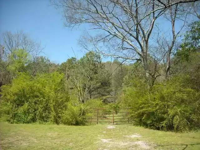 Listing photo 3 for 0 Lewis Rd, Cartersville GA 30121