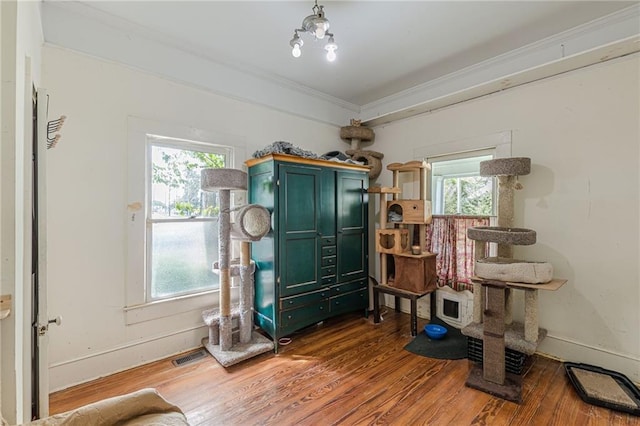 miscellaneous room with crown molding, visible vents, a wealth of natural light, and wood finished floors