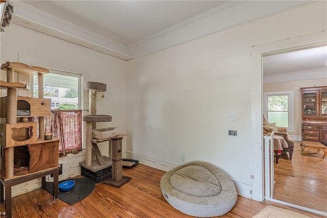 misc room featuring wood finished floors and ornamental molding