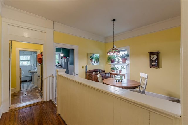 dining space with crown molding and dark wood finished floors