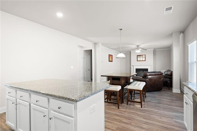 33 N Village Cir, Rydal, GA 30171 - kitchen featuring light wood-style flooring, a ceiling fan, a glass covered fireplace, white cabinetry, and a kitchen island
