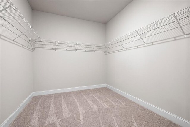 33 N Village Cir, Rydal, GA 30171 - spacious closet with carpet flooring