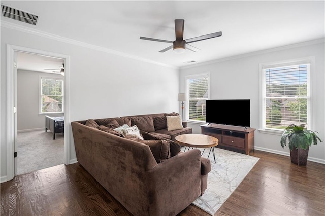 200 Glen Wood Pl, Canton, GA 30114 - living area with a ceiling fan, plenty of natural light, crown molding, and dark wood-type flooring