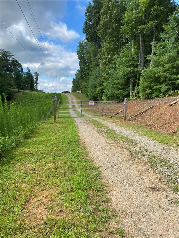 20AC Banks Rd, Ellijay GA, 30540 land for sale