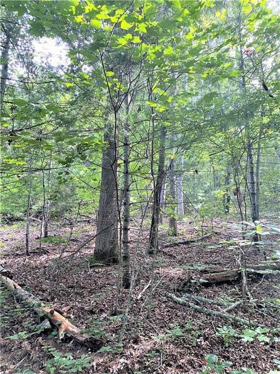 20AC Banks Rd, Ellijay, GA 30540