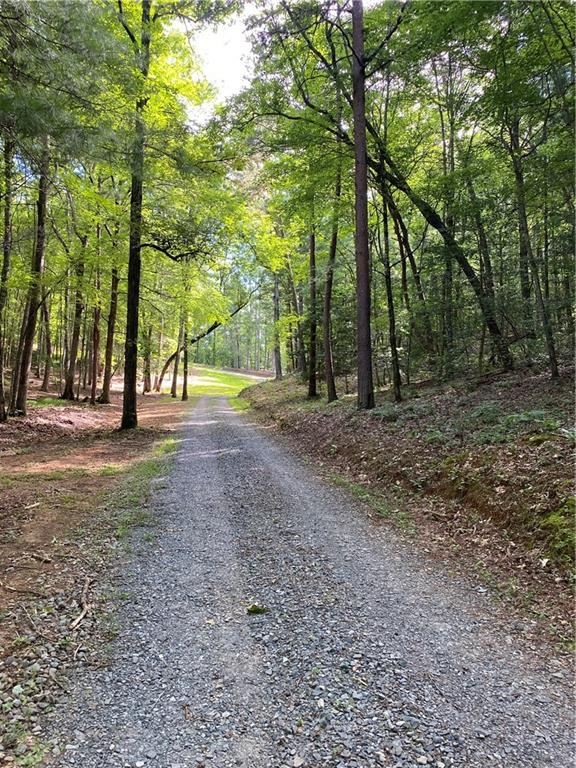 20AC Banks Rd, Ellijay, GA 30540