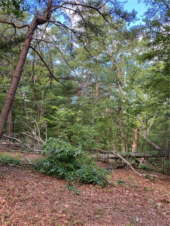 20AC Banks Rd, Ellijay, GA 30540