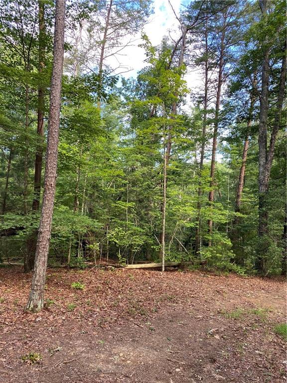 20AC Banks Rd, Ellijay, GA 30540