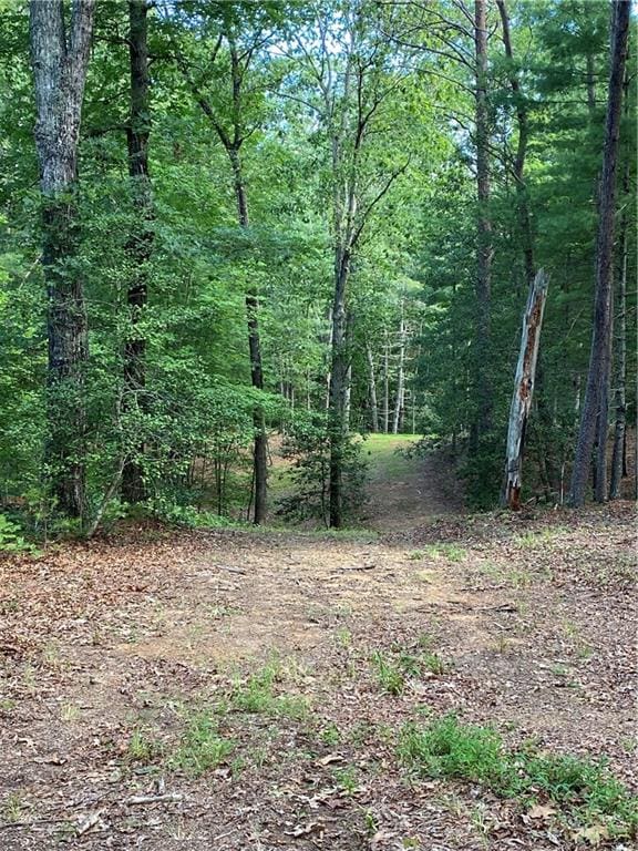 20AC Banks Rd, Ellijay, GA 30540