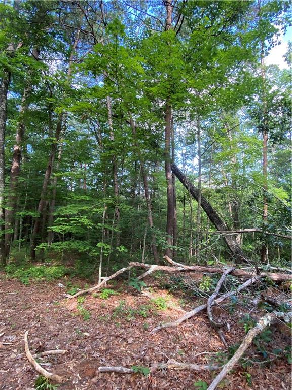 20AC Banks Rd, Ellijay, GA 30540