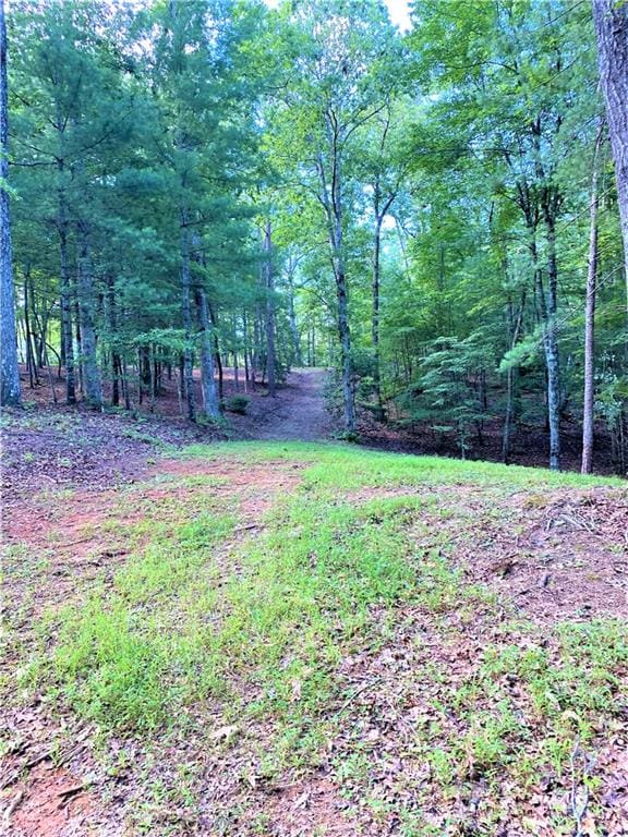 20AC Banks Rd, Ellijay, GA 30540