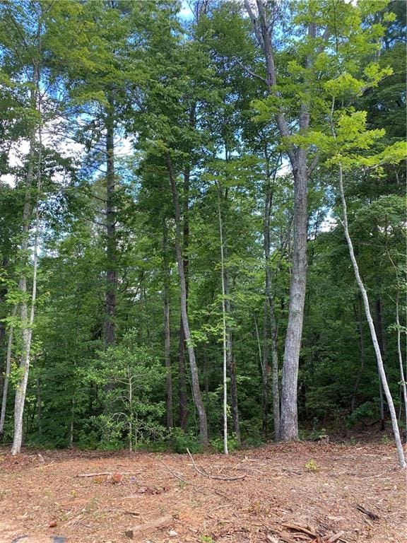 Listing photo 3 for 20AC Banks Rd, Ellijay GA 30540