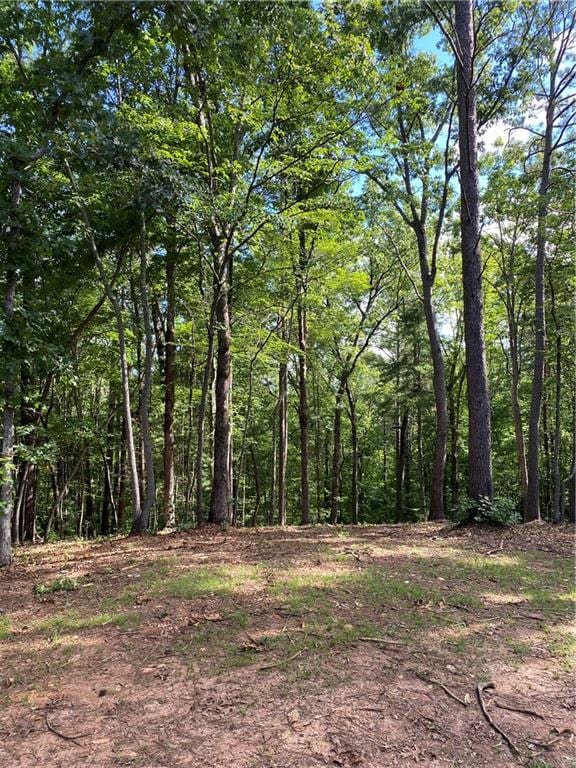20AC Banks Rd, Ellijay, GA 30540