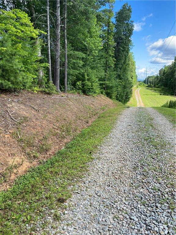 20AC Banks Rd, Ellijay, GA 30540
