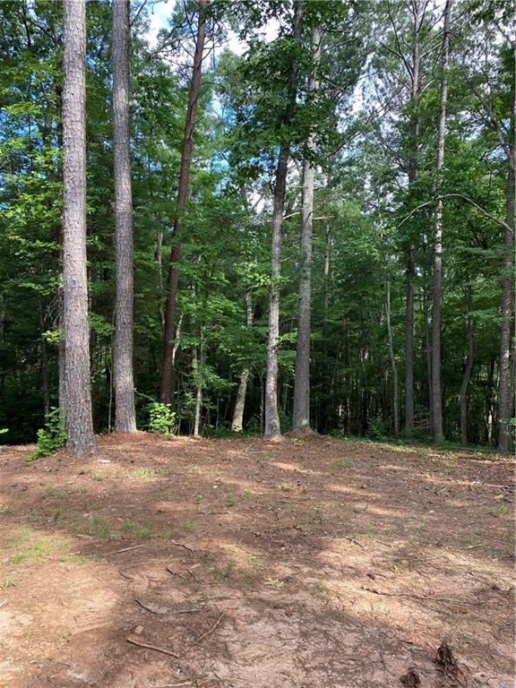 20AC Banks Rd, Ellijay, GA 30540