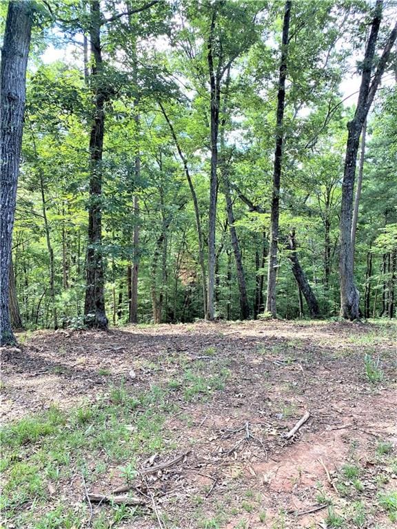 20AC Banks Rd, Ellijay, GA 30540
