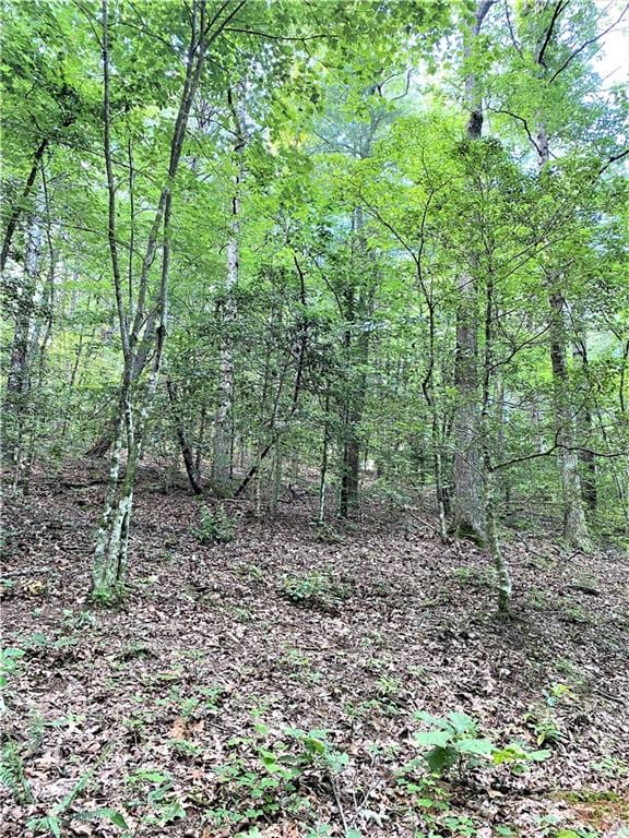 20AC Banks Rd, Ellijay, GA 30540