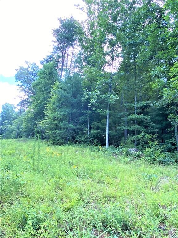 20AC Banks Rd, Ellijay, GA 30540