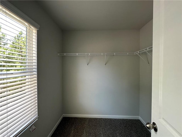 spacious closet with carpet flooring