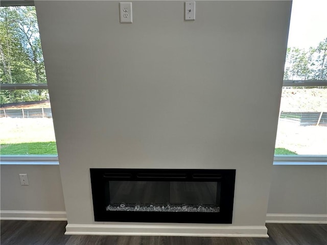 detailed view of a glass covered fireplace, wood finished floors, and baseboards