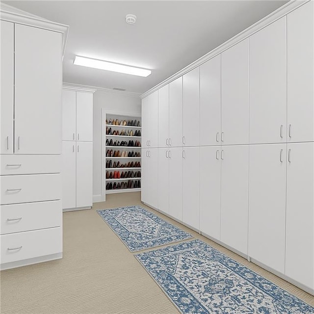 5040 Harrington Rd, Johns Creek, GA 30022 - view of walk in closet