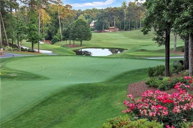 5040 Harrington Rd, Johns Creek, GA 30022 - view of property's community featuring a putting green, a lawn, and golf course view