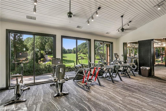 5040 Harrington Rd, Johns Creek, GA 30022 - gym with track lighting and carpet flooring