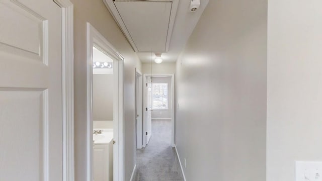 corridor featuring baseboards, attic access, and light colored carpet