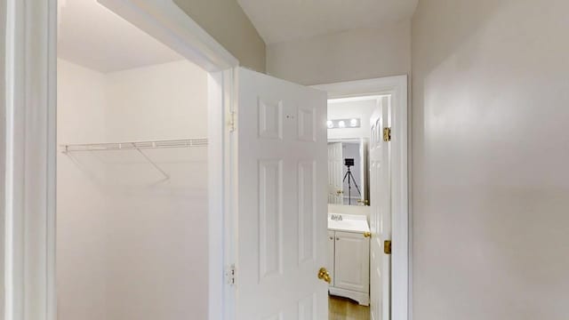 bathroom featuring vanity and a spacious closet