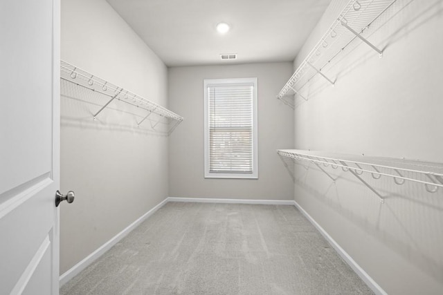 spacious closet featuring carpet flooring