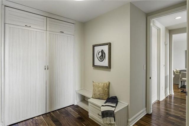 mudroom featuring baseboards and dark wood-style flooring