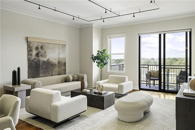 living area featuring ornamental molding, baseboards, and wood finished floors