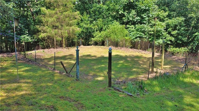 10 Montre Cir, Silver Creek, GA 30173 - view of yard