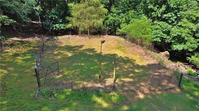 10 Montre Cir, Silver Creek, GA 30173 - view of yard