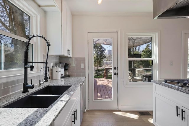 kitchen with a sink, tasteful backsplash, wood finished floors, white cabinetry, and crown molding