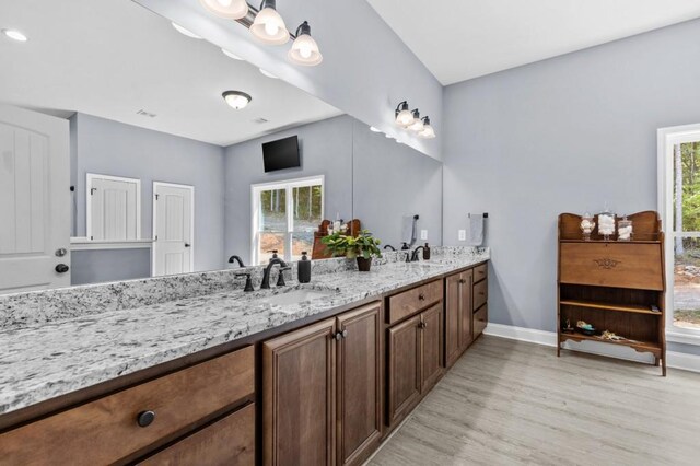 bathroom featuring hardwood / wood-style flooring, vanity, and a wealth of natural light