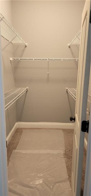 spacious closet with carpet floors