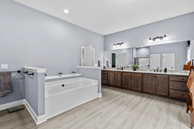 bathroom with wood-type flooring, vanity, and a washtub