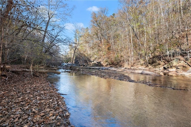 view of water feature