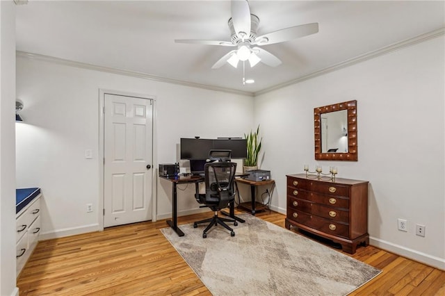 office featuring light hardwood / wood-style flooring, ornamental molding, and ceiling fan